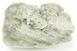 Selenite Crystal - Box Elder County, Utah #369278-1